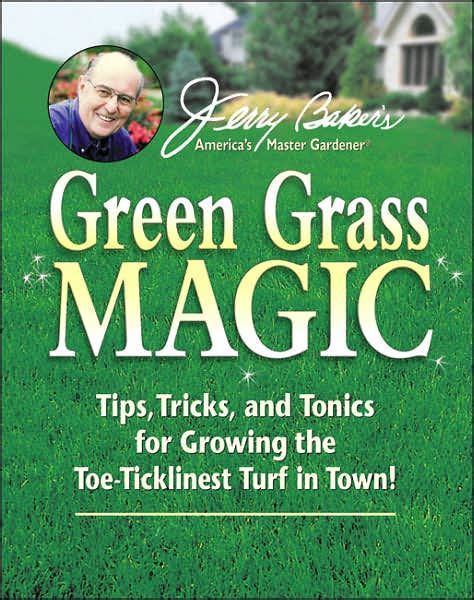 Grass magic lawn management